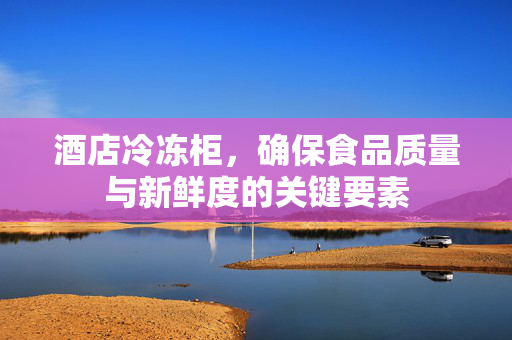 酒店冷冻柜，确保食品质量与新鲜度的关键要素
