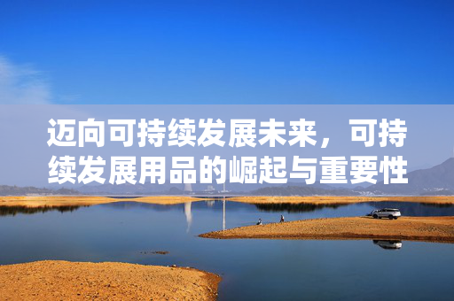 迈向可持续发展未来，可持续发展用品的崛起与重要性