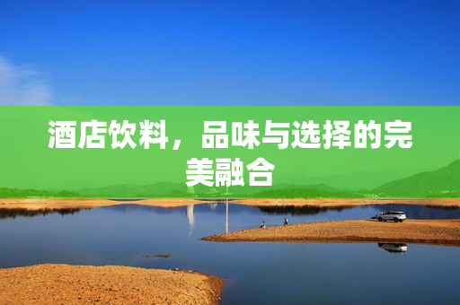酒店饮料，品味与选择的完美融合