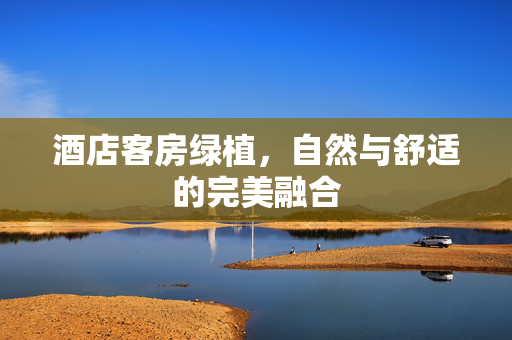 酒店客房绿植，自然与舒适的完美融合