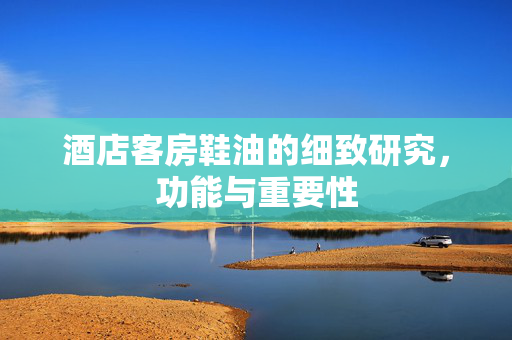酒店客房鞋油的细致研究，功能与重要性