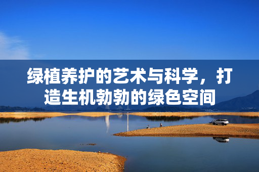 绿植养护的艺术与科学，打造生机勃勃的绿色空间