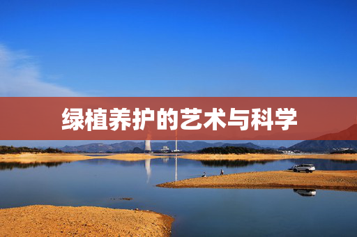 绿植养护的艺术与科学