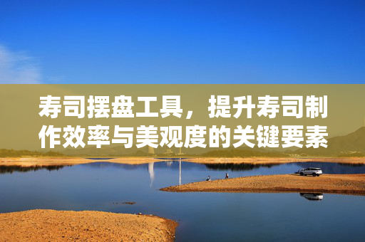 寿司摆盘工具，提升寿司制作效率与美观度的关键要素