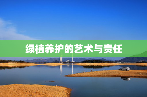 绿植养护的艺术与责任