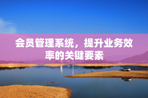 会员管理系统，提升业务效率的关键要素