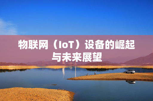 物联网（IoT）设备的崛起与未来展望