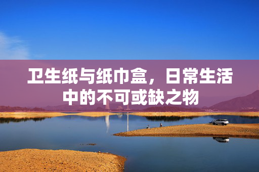 卫生纸与纸巾盒，日常生活中的不可或缺之物