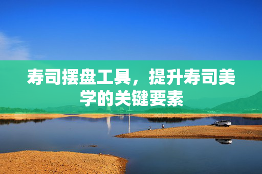 寿司摆盘工具，提升寿司美学的关键要素