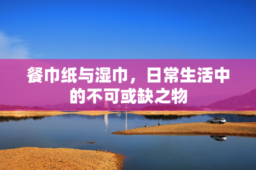 餐巾纸与湿巾，日常生活中的不可或缺之物