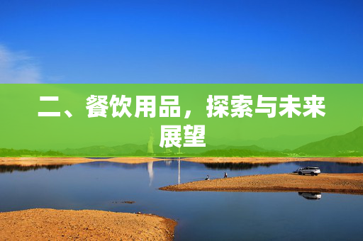二、餐饮用品，探索与未来展望