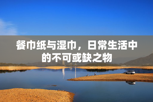 餐巾纸与湿巾，日常生活中的不可或缺之物