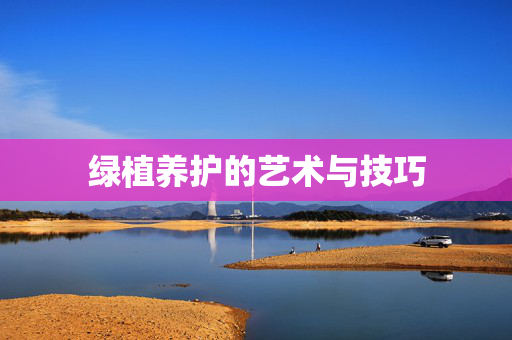 绿植养护的艺术与技巧