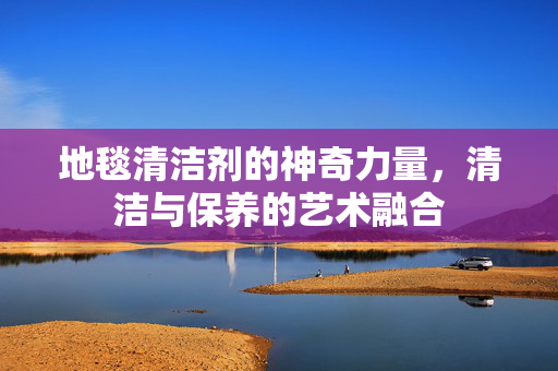 地毯清洁剂的神奇力量，清洁与保养的艺术融合
