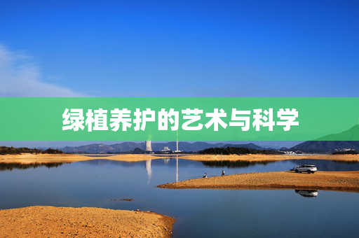 绿植养护的艺术与科学