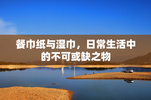 餐巾纸与湿巾，日常生活中的不可或缺之物
