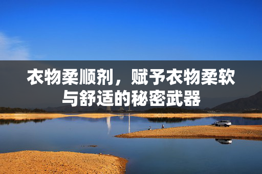 衣物柔顺剂，赋予衣物柔软与舒适的秘密武器