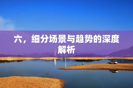 六，细分场景与趋势的深度解析